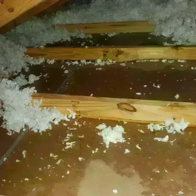 Attic Water Damage in Willowbrook, IL