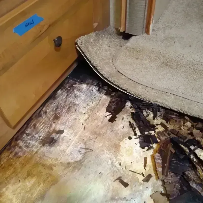 Wood Floor Water Damage in Willowbrook, IL